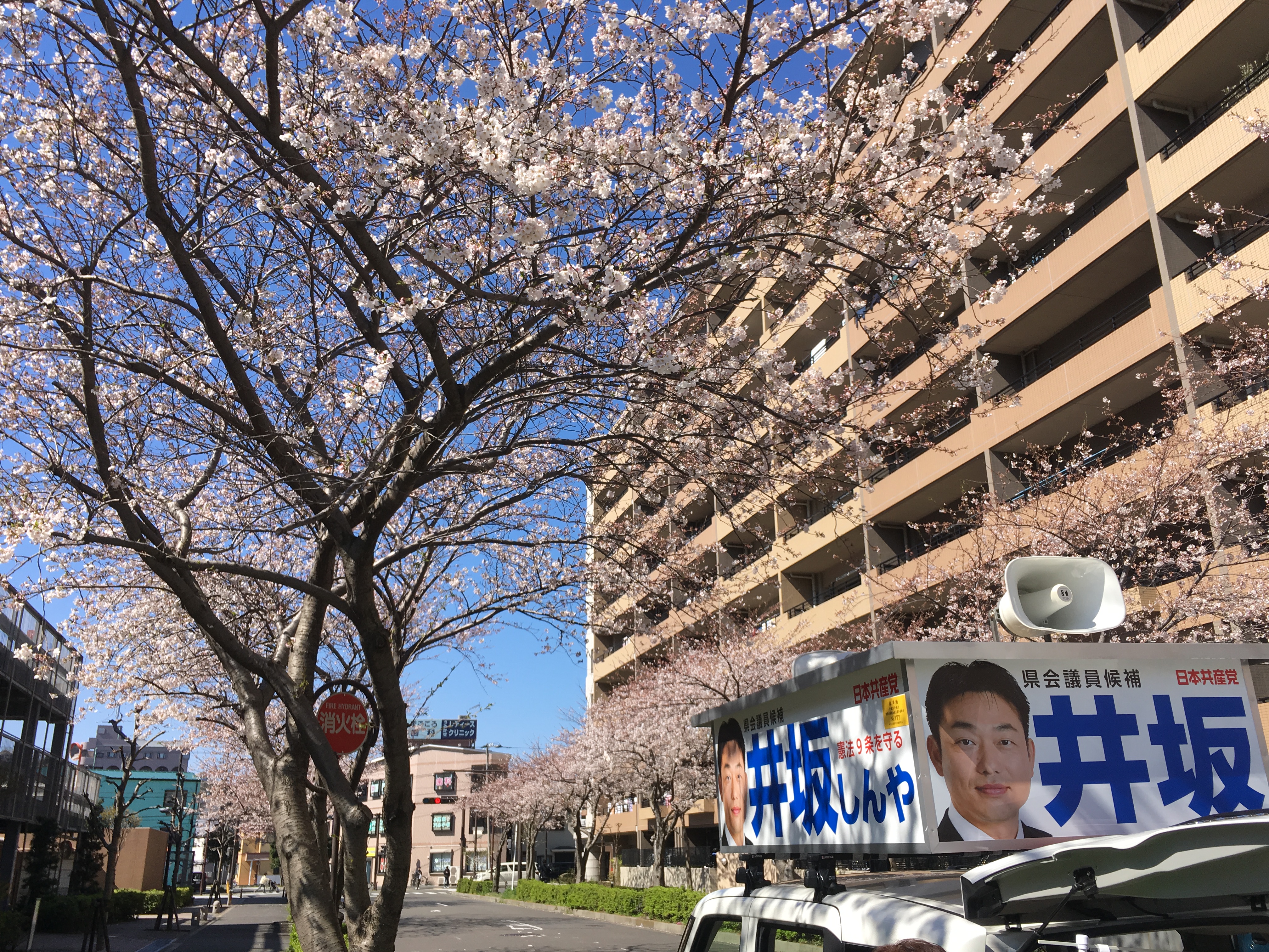 日に焼けました