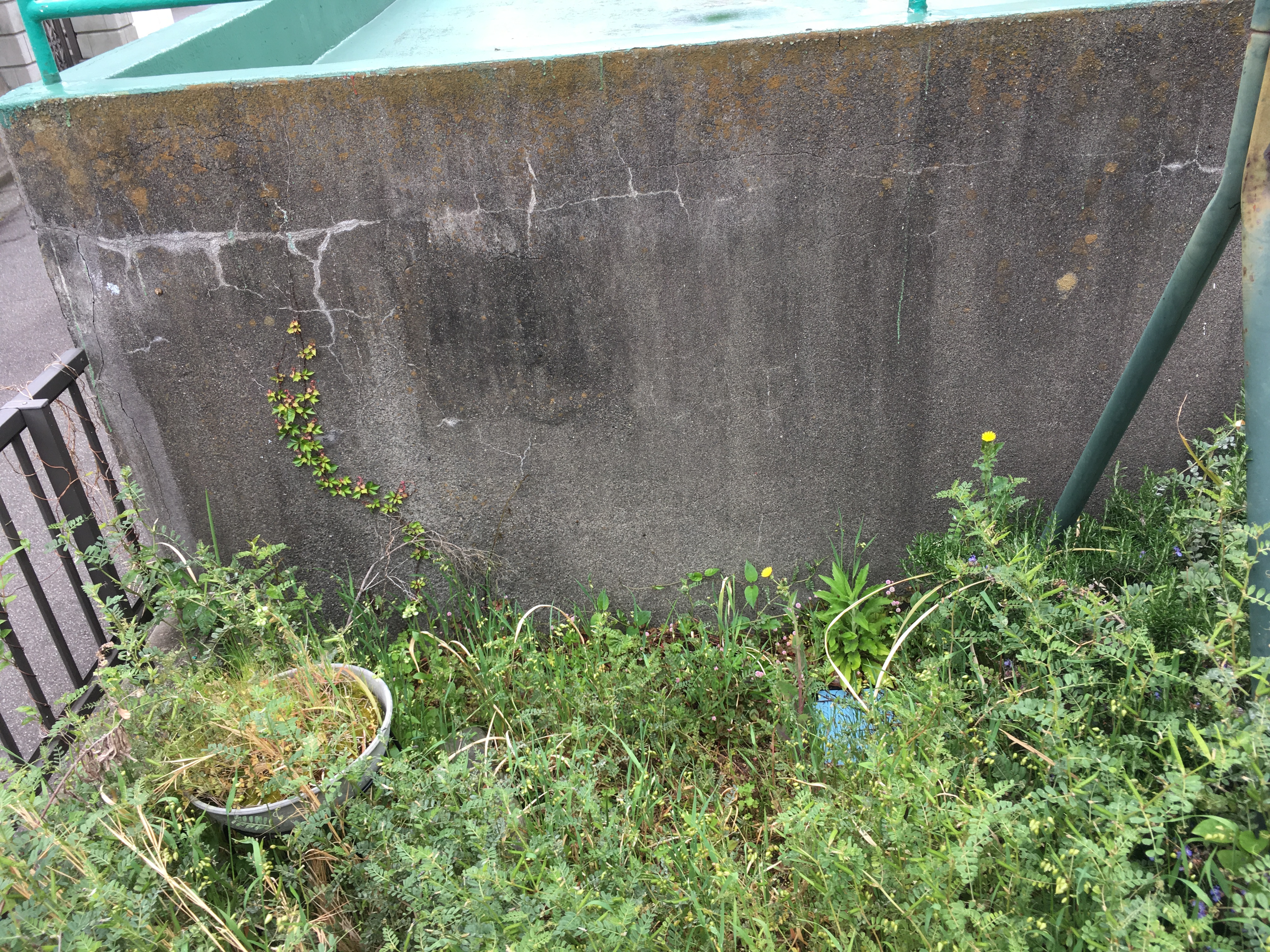 いっせい地方選挙も終わりちょっと一息